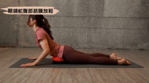 眼鏡蛇腹部筋膜放鬆