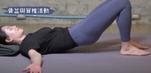 骨盆與脊椎活動