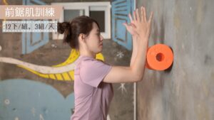 前鋸肌訓練動作