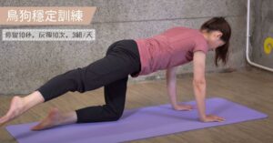 鳥狗穩定訓練